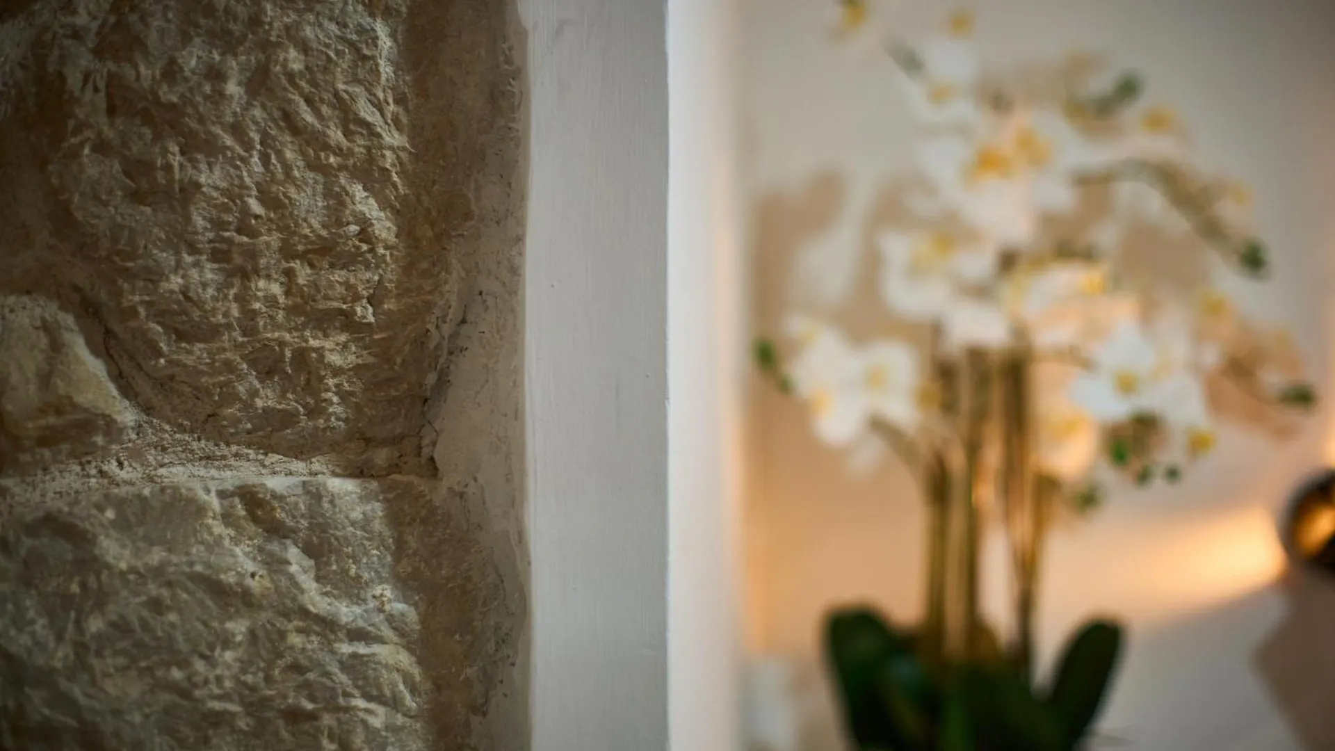 Appartamento Bernard Deluxe Renovated Peaceful Old Town Gem Spalato
